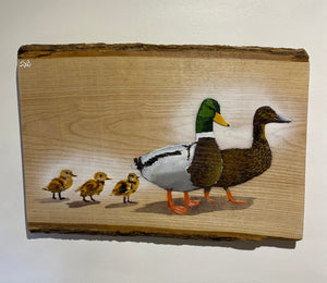 Family Quackers on Ash wood - 50 x 36cm - Signed Limited edition artwork