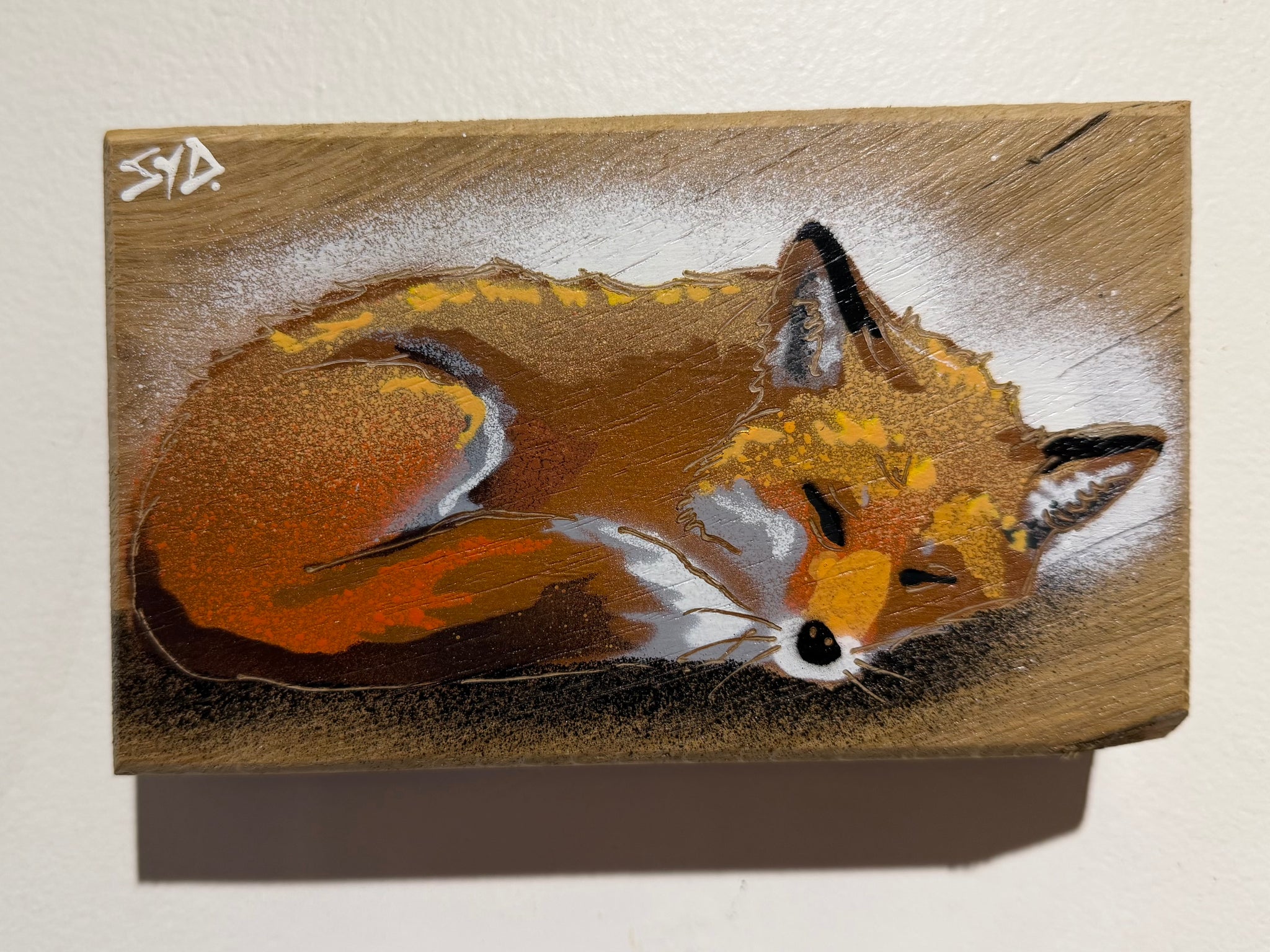 Snoozey Fox - New for 2026 on barky oak wood - Number 12 - Size 12 x 14cm