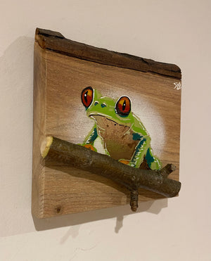 Tree Frog Brand New Artwork fro 2025 on Elm - Number 3 - 15 x 16cm with barky top edge