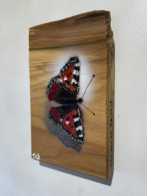 Butterfly 2024 Stencil Art on Elm Number 1 in edition - 14 x 22cm