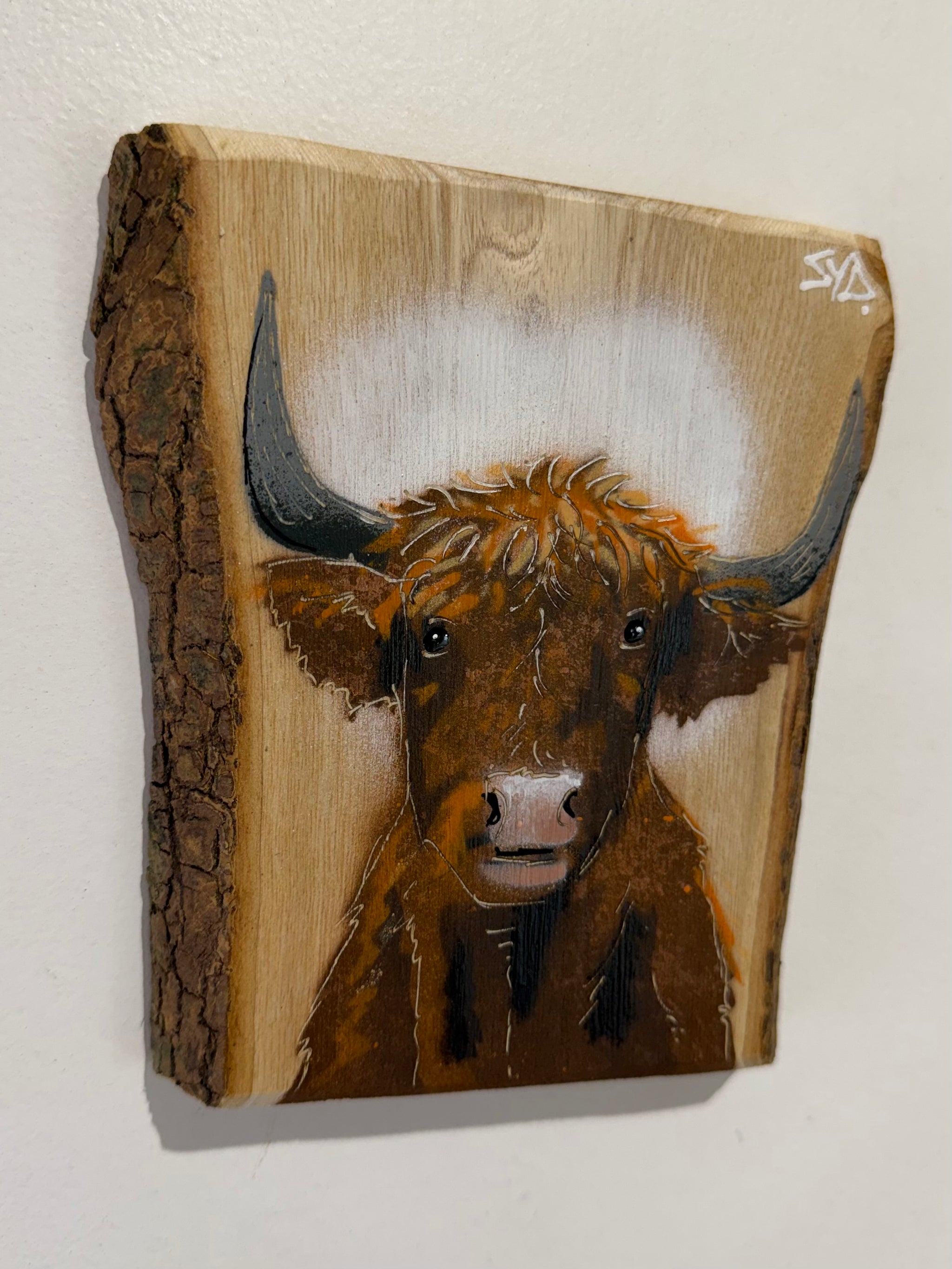 Highland Cow 2026 Barky Ash Wood - Signed Limited Edition Artwork - size 14 x 14cm - Number 37