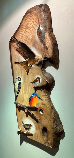 Birds 2024 - Elm Wood - 95cm by 40cm - Totally original 'one off' piece