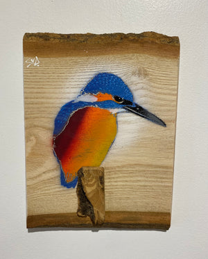 Kingfisher ‘Fisherman’ on ash barky wood - Signed artwork size 17 x 22cm