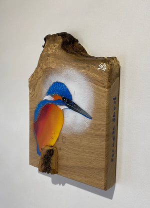 Kingfisher ‘Fisherman’ on fantastic piece of Oak wood - Signed unique artwork size 16 x 23cm - Number 50 in edition