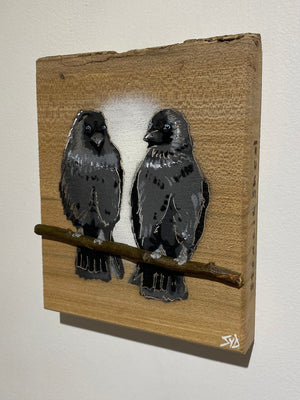 Local Lovebirds (Jackdaw) new for 2025 on Elm wood - Number 4 - 15 x 18cm