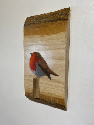 Robin 2025 on English Ash with beautiful barky edges and 3D stump - 12 x 25cm