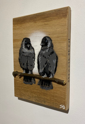 Local Lovebirds (The Jackdaws) new for 2025 on Oak wood Number 10 - 15 x 22cm