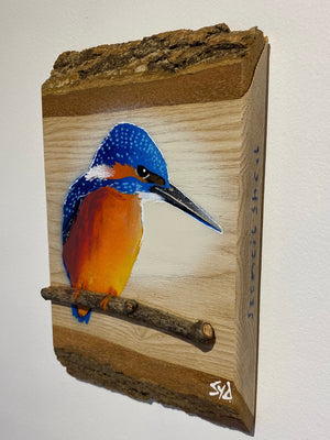 Kingfisher ‘Fisherman’ on ash barky wood - Number 3 in edition - Signed artwork size 15 x 23cm