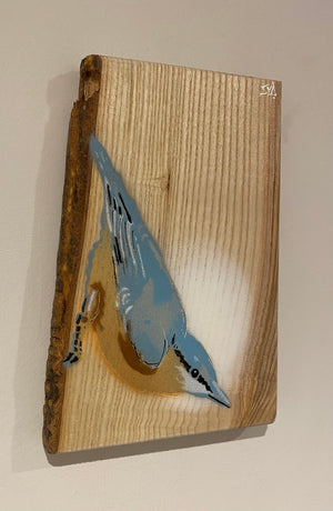 Nuthatch - On Ash wood - Signed Limited Edition with bark detail on left side - size 17 x 24cm