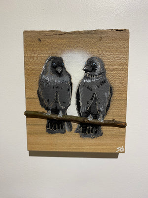 Local Lovebirds (Jackdaw) new for 2025 on Elm wood - Number 4 - 15 x 18cm