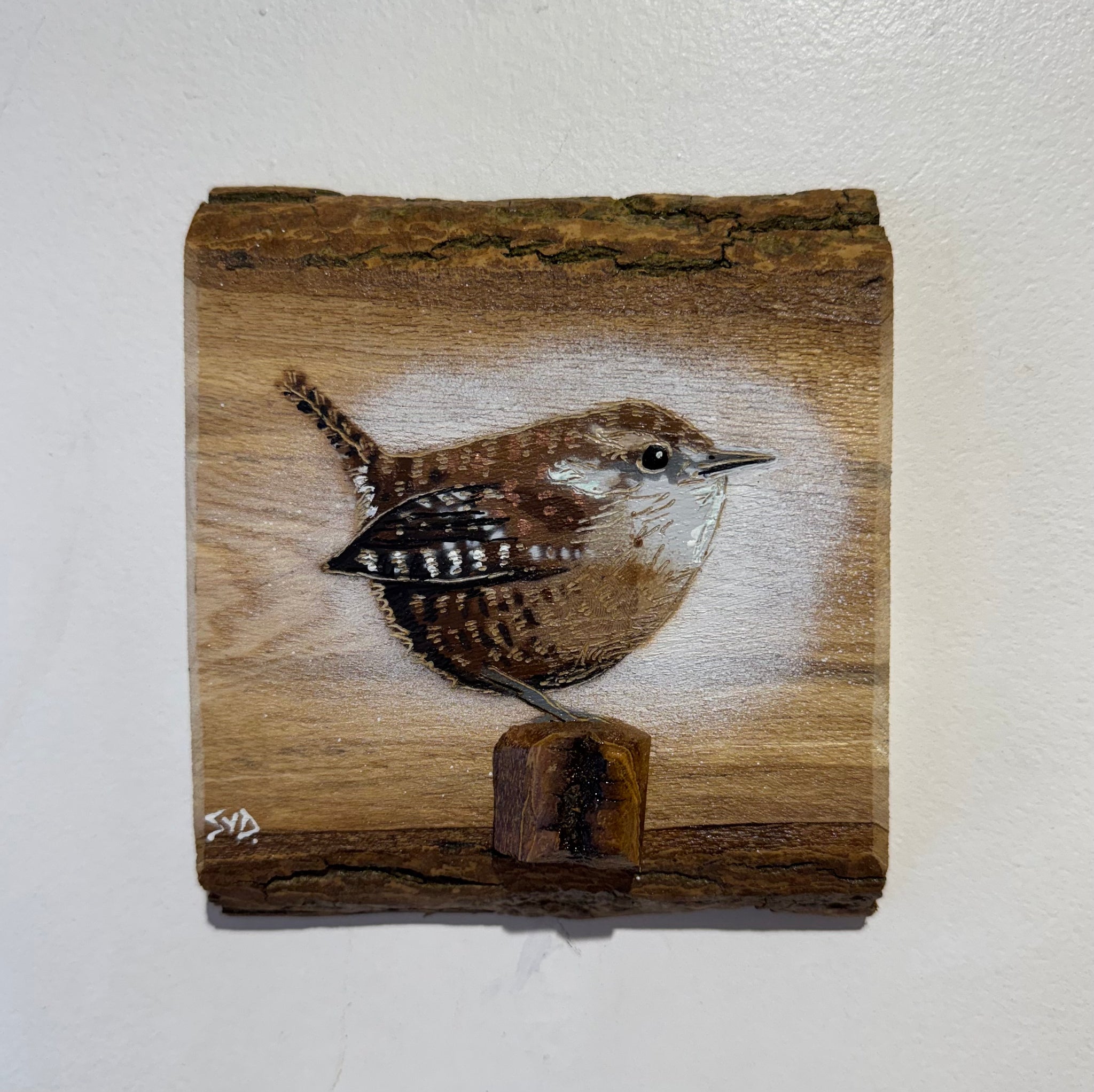 Wren 2026 - New for this summer season on barky Ash wood from the UK - No. 3 from signed limited edition artwork - 13 x 16