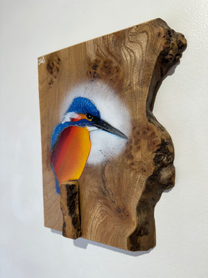 Kingfisher ‘Fisherman’ on fantastic piece of Elm wood - Signed unique artwork size 20 x 25cm - Number 50 in edition