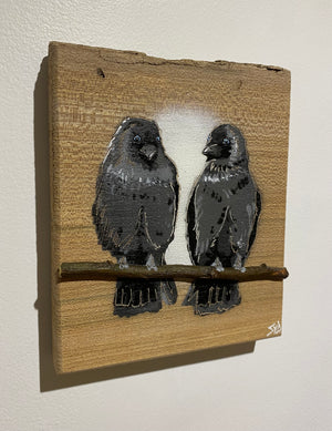 Local Lovebirds (Jackdaw) new for 2025 on Elm wood - Number 4 - 15 x 18cm