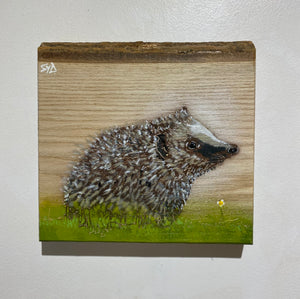 Hedgehog on barky Ash - New for 2024 - 18 x 22cm - number 53