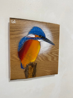Kingfisher ‘Fisherman’ on Elm wood - Signed Limited Edition artwork size 16 x 18cm