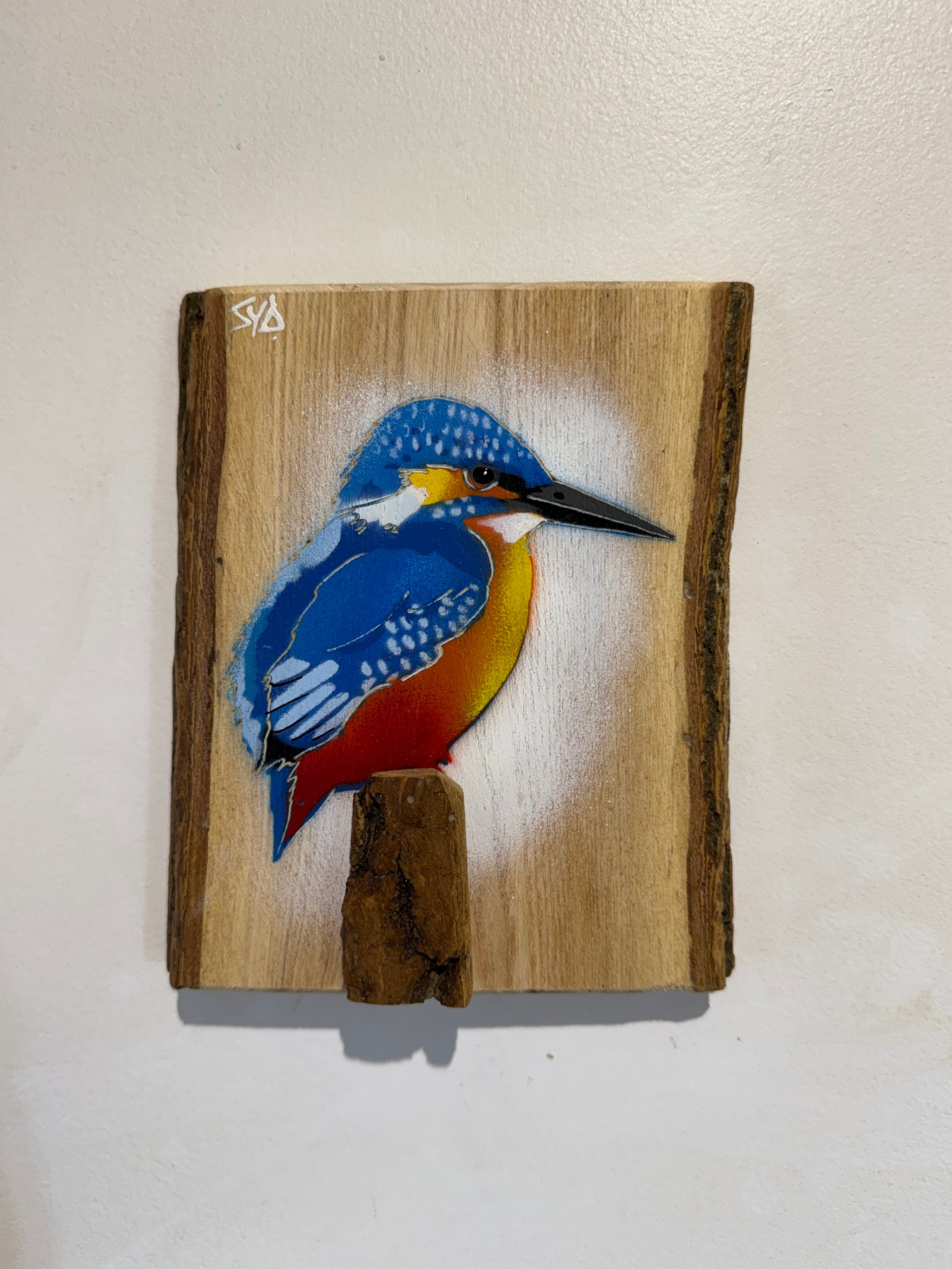 Kingfisher ‘Little Splash’ New for 2026 on Ash wood - Number 16 - Signed Limited Edition Artwork size 14 x 17cm