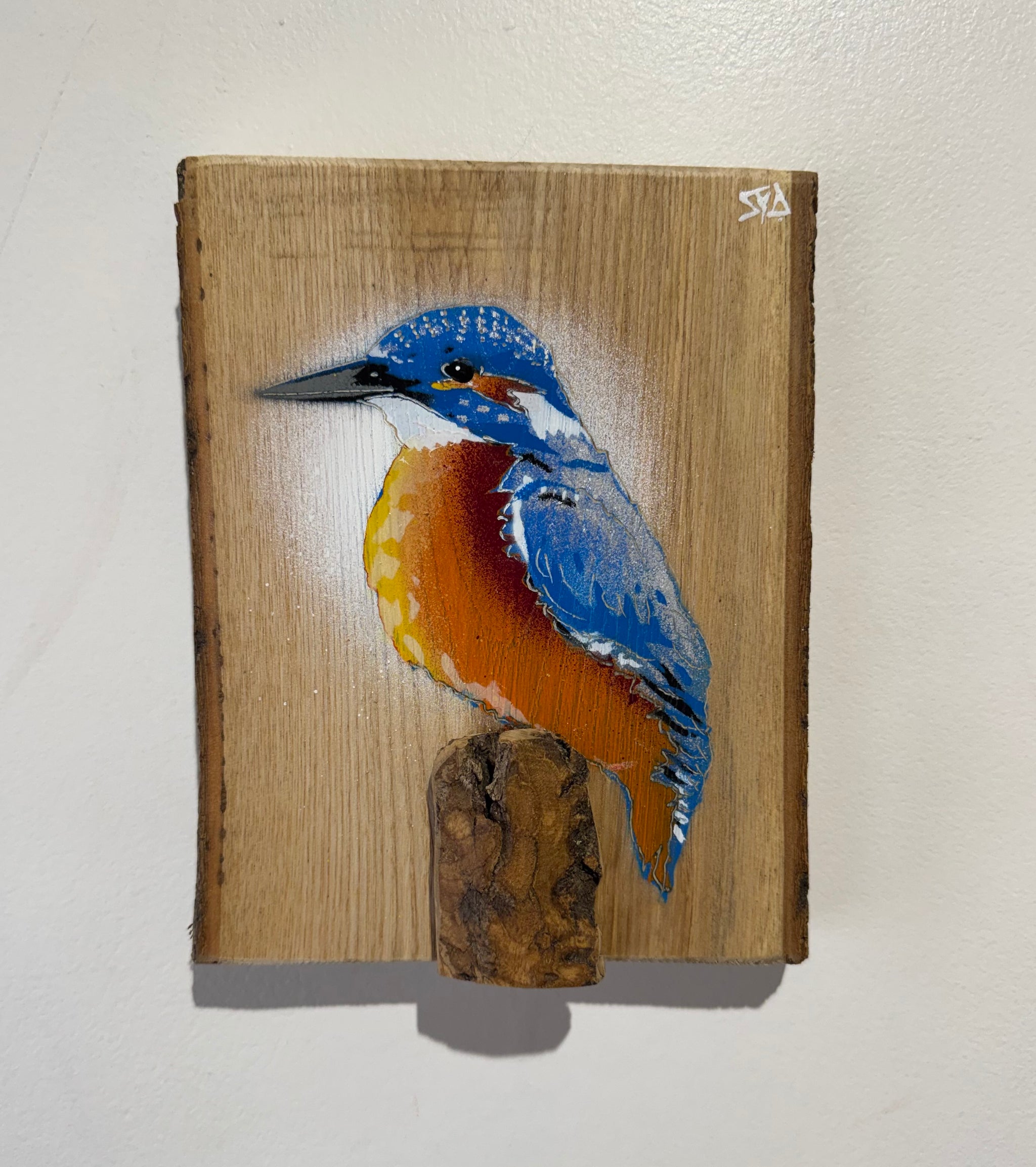 Kingfisher ‘Gone Fishing’ 2025 on Ash wood - Number 64 of Signed Limited Edition artwork size 14 x 19cm