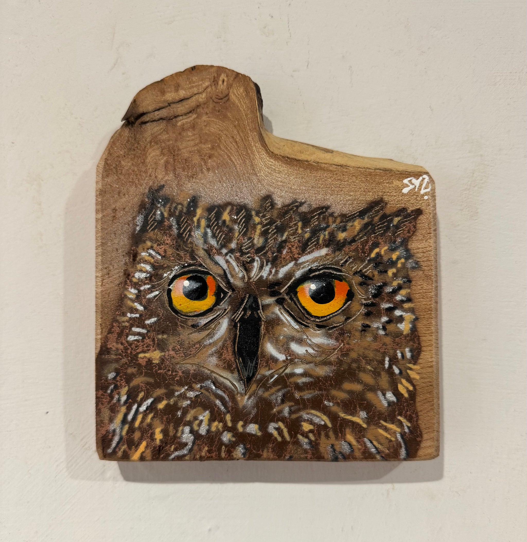 'Shy Guy' Owl artwork on rare Elm wood with unusual notch - Number 1 - size 14 x 17 cm