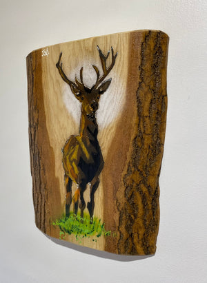 Solid Stag on barky Ash wood - 24 x 22cm - Limited edition signed artwork