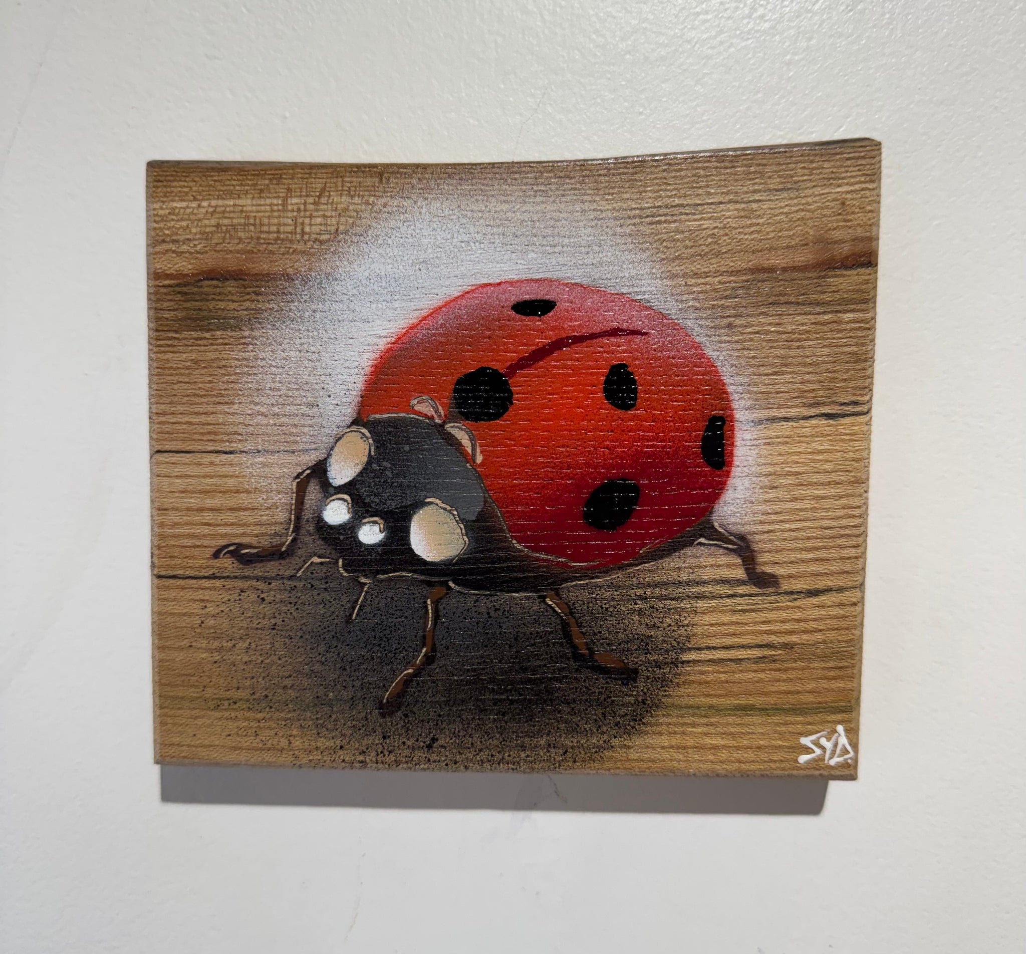 Ladybird ‘Speedy’ 2024 - No. 34 in edition on Elm wood from the UK size 14 x 13cm