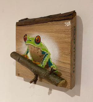 Tree Frog Brand New Artwork fro 2025 on Elm - Number 3 - 15 x 16cm with barky top edge