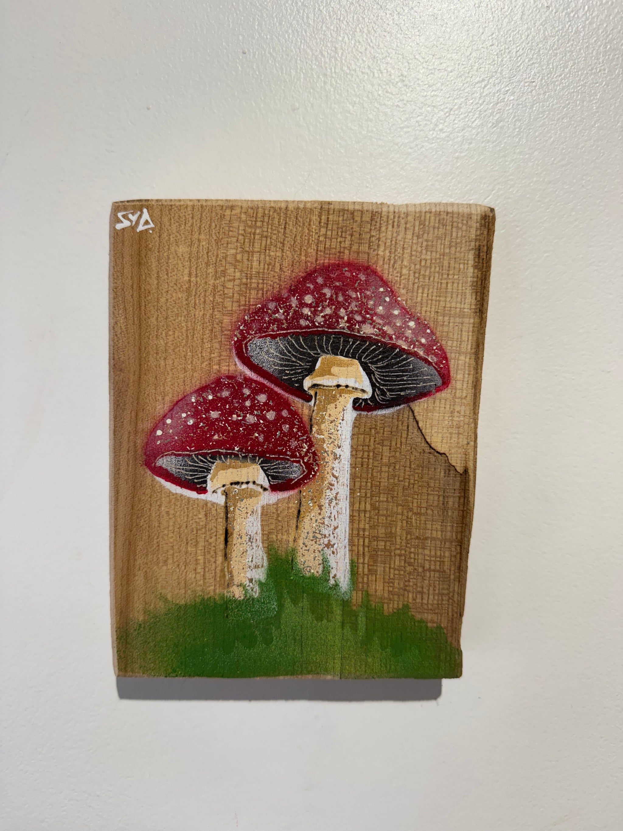 Mushrooms - Elm Wood - with added texture - 12 x 16cm