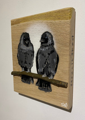 Local Lovebirds (The Jackdaws) new for 2025 on Oak wood Number 5 - 15 x 18cm