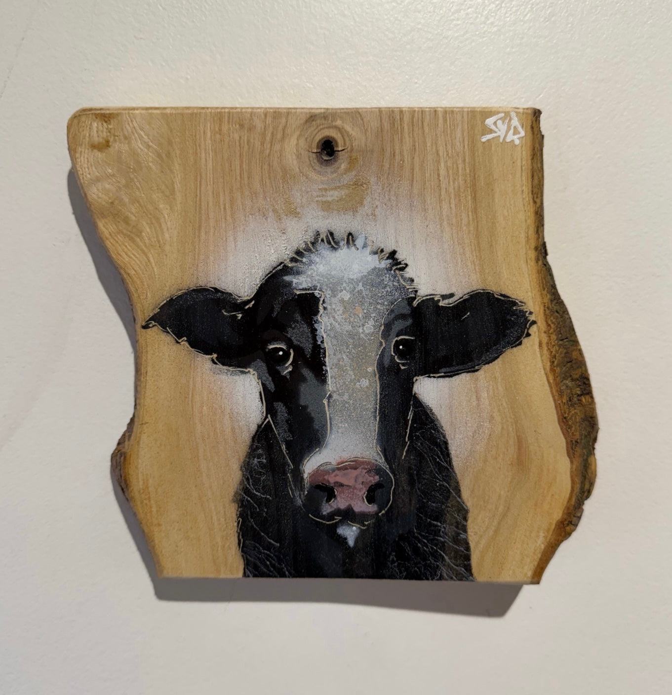 Curious Cow - New for 2026 - Number 2 from Signed limited edition art spray painted on Ash wood size 18 x 17cm