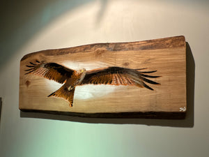 Red Kite on Elm - 78cm x 32cm - Number 3 in edition