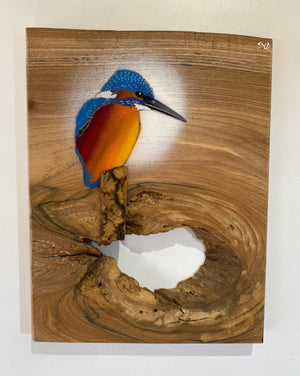 Kingfisher ‘Fisherman’ on fantastic piece of Elm wood - Signed unique artwork size 26 x 35cm - Number 50 in edition