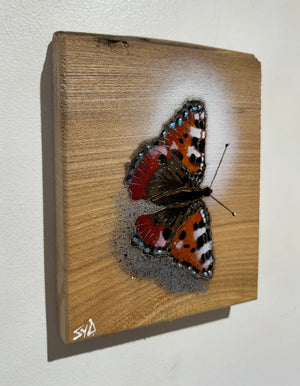 Butterfly 2024 Stencil Art on Elm Number 3 in edition - 15 x 19cm