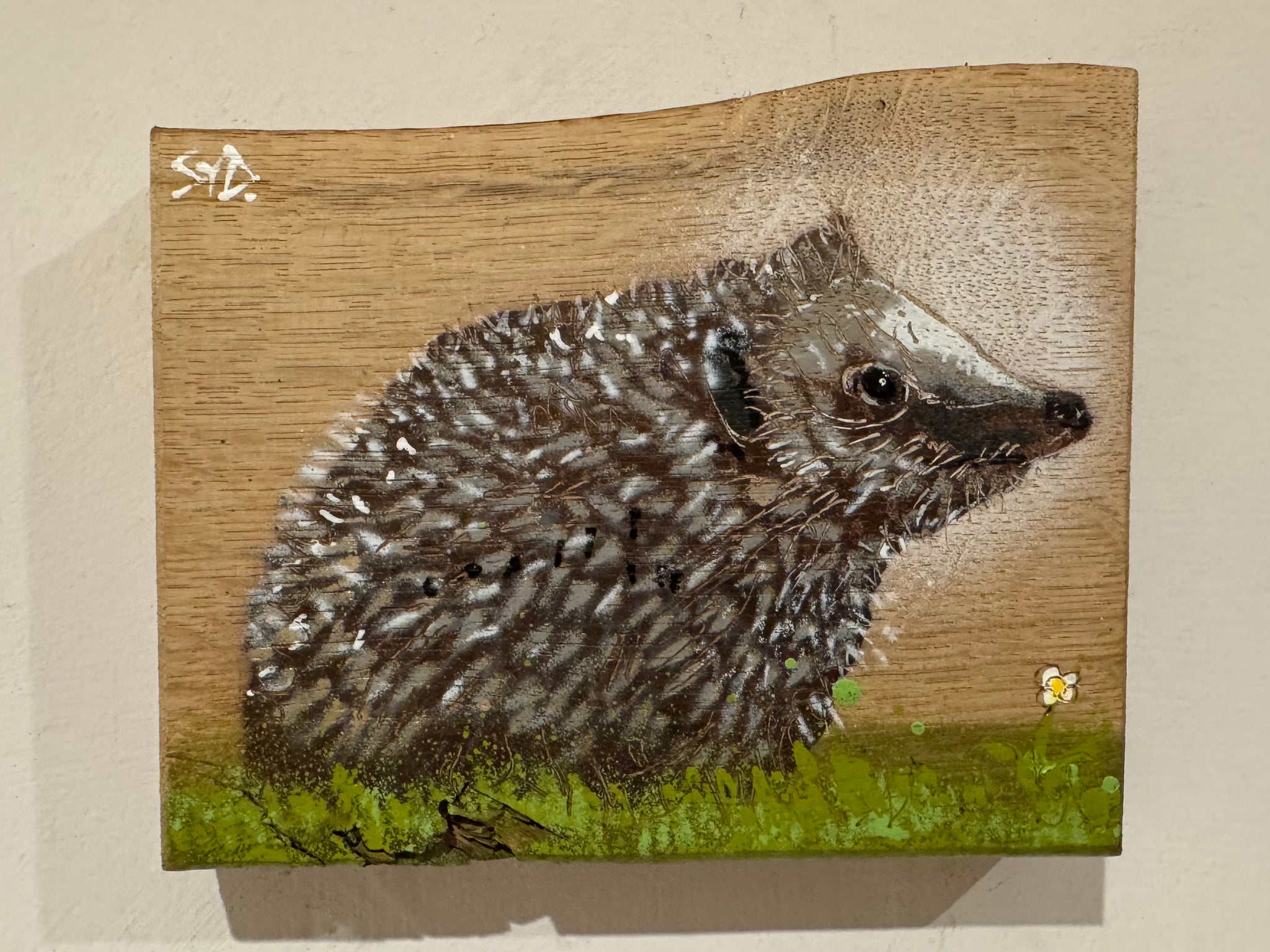 Hedgehog on Oak - New for 2024 - 17 x 14 cm - number 57 from Signed Limited Edition