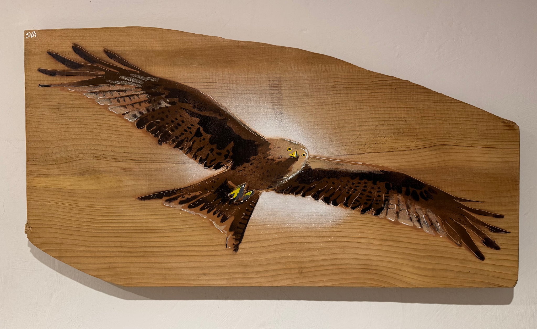 Red Kite on Cedar - 67 x 34cm - Number 7 in edition