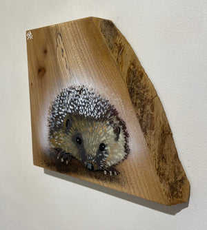Hedgehog on Elm 60 of 60 in edition - new for 2023 - 20 x 19cm