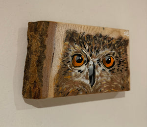 'Shy Guy' Owl artwork new for Christmas 2024 on very barky ash wood - Number 28 - size 17 x 10cm