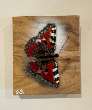 Butterfly 2024 Stencil Art on Elm Number 4 in edition - 13 x 15cm