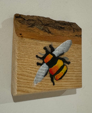 Bumble Bee - Handmade on sustainably sourced Ash wood 10 x 10cm