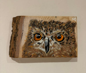 'Shy Guy' Owl artwork new for Christmas 2024 on very barky ash wood - Number 28 - size 17 x 10cm