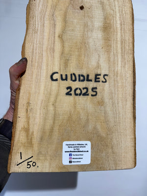 Koala ‘Cuddles’ 2025 - Number 1 in edition - 3D Stencil art on Ash Wood , Size 22 x 33 cm