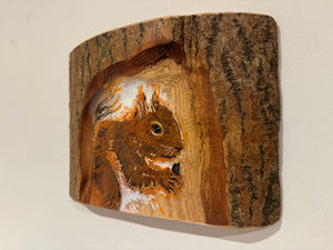 Log Art  Squirrel on sustainably sourced Ash Wood from the UK - 21cm x 20cm