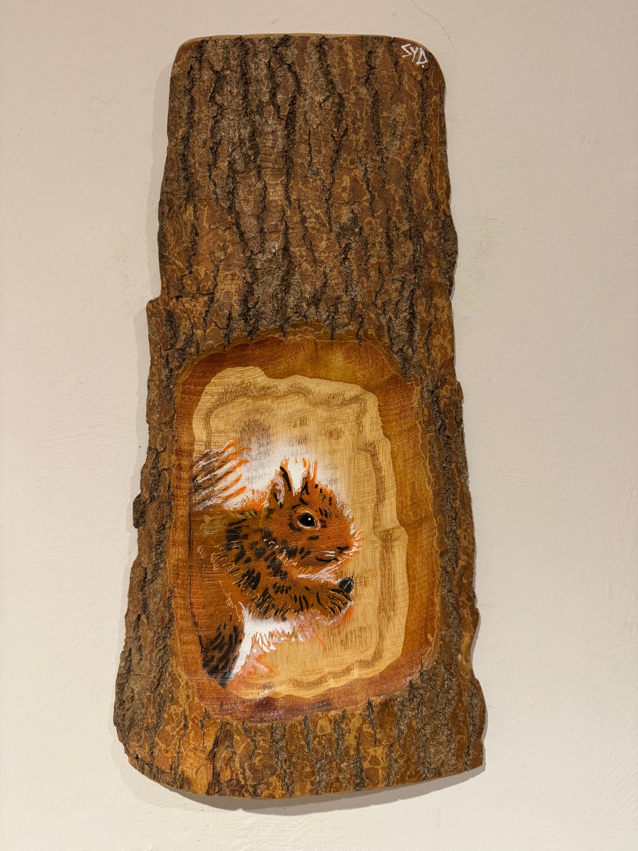 Log Art Squirrel on sustainably sourced Ash Wood from the UK - 38 x 20cm