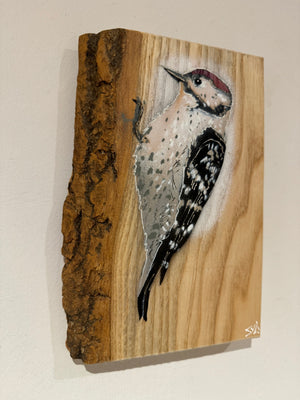 Woodpecker ‘Woody’ 2023 on barky Ash wood - signed limited edition - 15 x 22cm