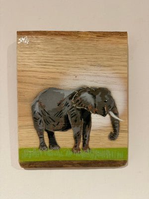 Elephant Trunky - Number 15 in edition oak wood - 15 x 20cm