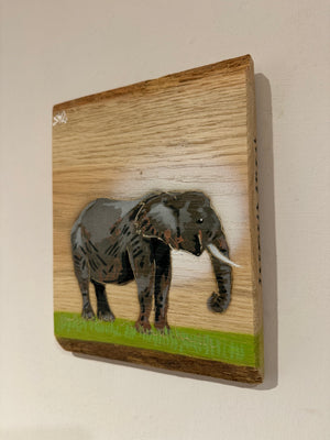 Elephant Trunky - Number 15 in edition oak wood - 15 x 20cm