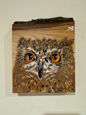 'Shy Guy' Owl artwork new for Christmas 2024 on barky Elm wood - Number 27 - size 12 x 16cm