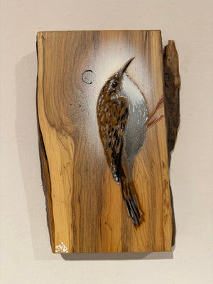 Treecreeper on chunky rare Yew wood - 16cm by 24cm with beautiful creamy tones in grain