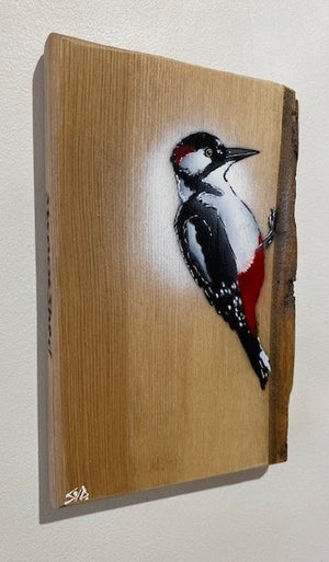 Woodpecker ‘Peckish’ 2022 on Barky Ash wood, sourced locally from Wiltshire.