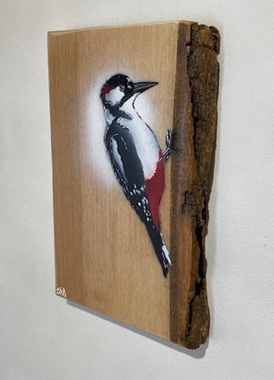 Woodpecker ‘Peckish’ 2022 on Barky Ash wood, sourced locally from Wiltshire.