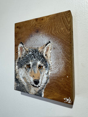 Wolf - New for 2025 Spray painted artwork onto Elm Wood - Number 3 - Signed and Limited Edition 12 x 15cm