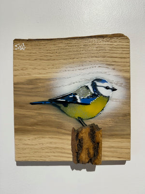 Blue Tit  'Spring Time' on Oak from the UK size 18 x 19cm - Signed limited edition artwork